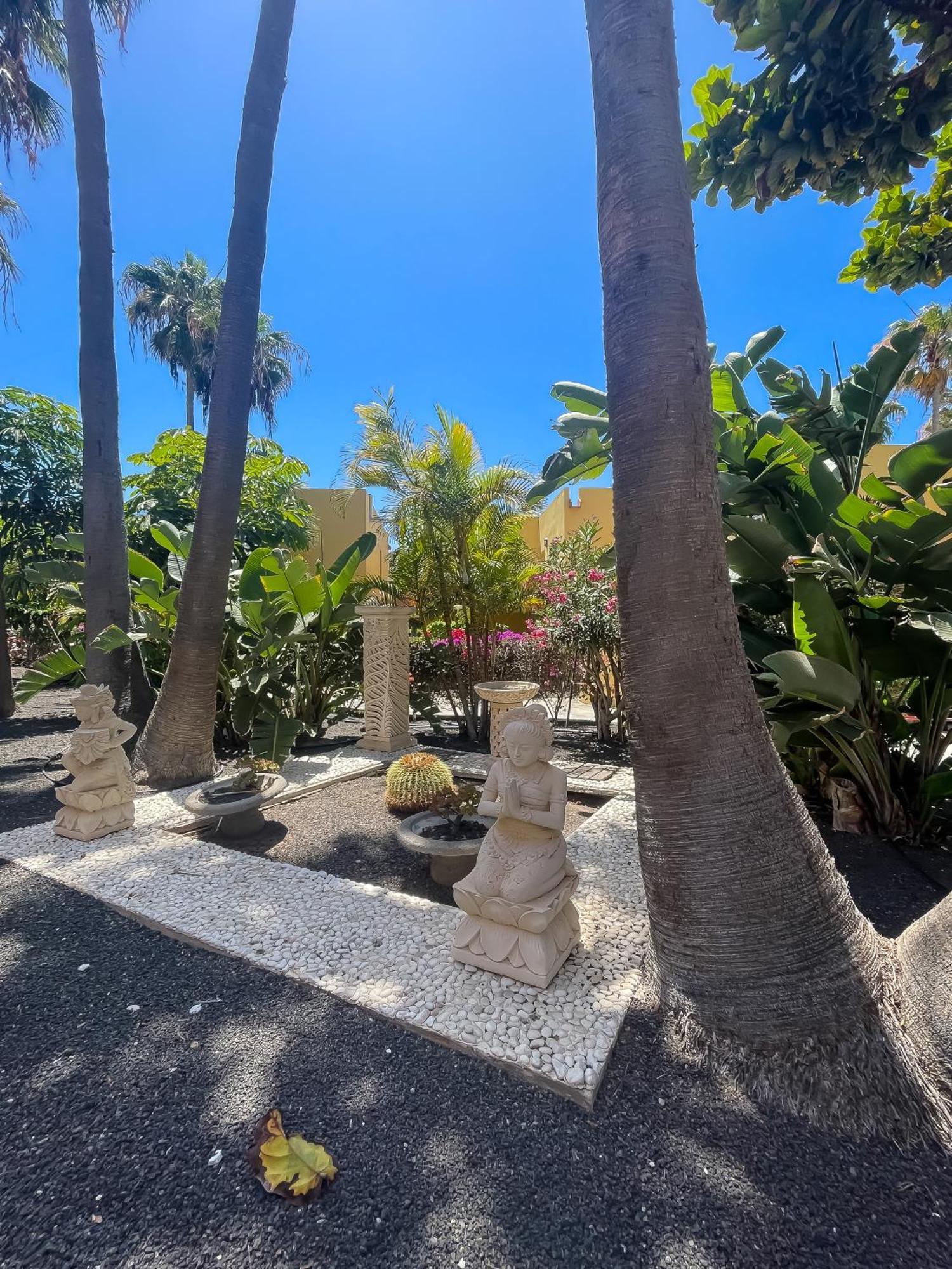B-Rent Atlantic Garden 181 Apartment Corralejo Bagian luar foto